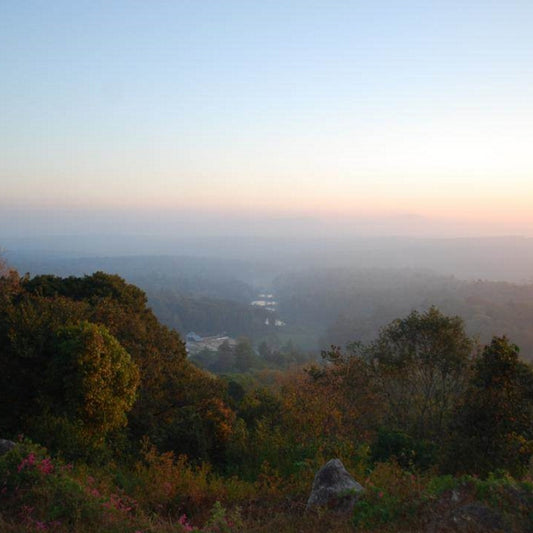 Elkhill Kaffee-Plantage, mit Sonnenuntergang und Nebel im Hintergrund