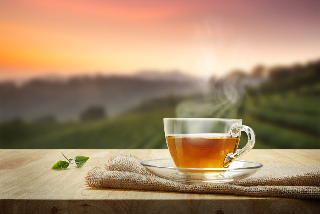 Wie viel Tee ist gesund? – caffe-passione