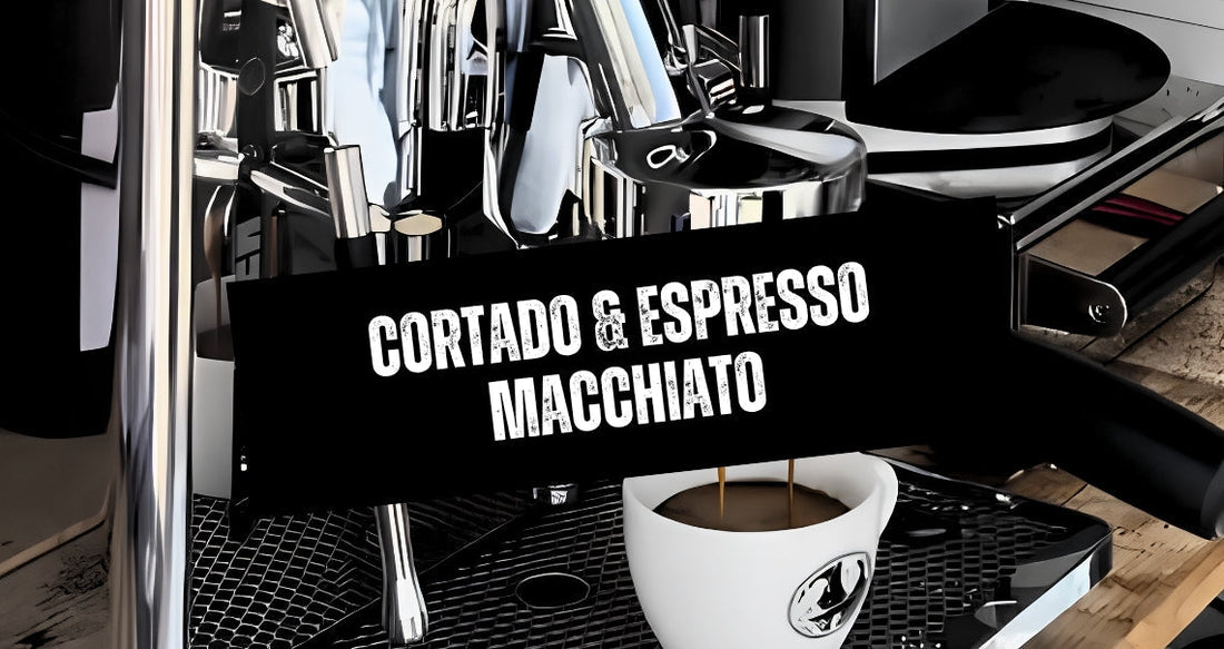 Siebträgermaschine in einer Kaffeeape, während Espresso in eine Caffè Passione Espressotasse läuft.