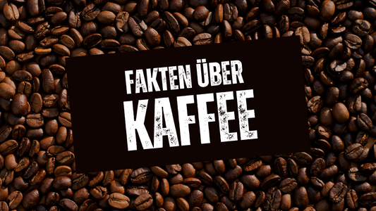 Fakten über Kaffee