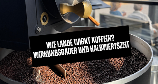 Wie lange wirkt Koffein? Wirkungsdauer und Halbwertszeit