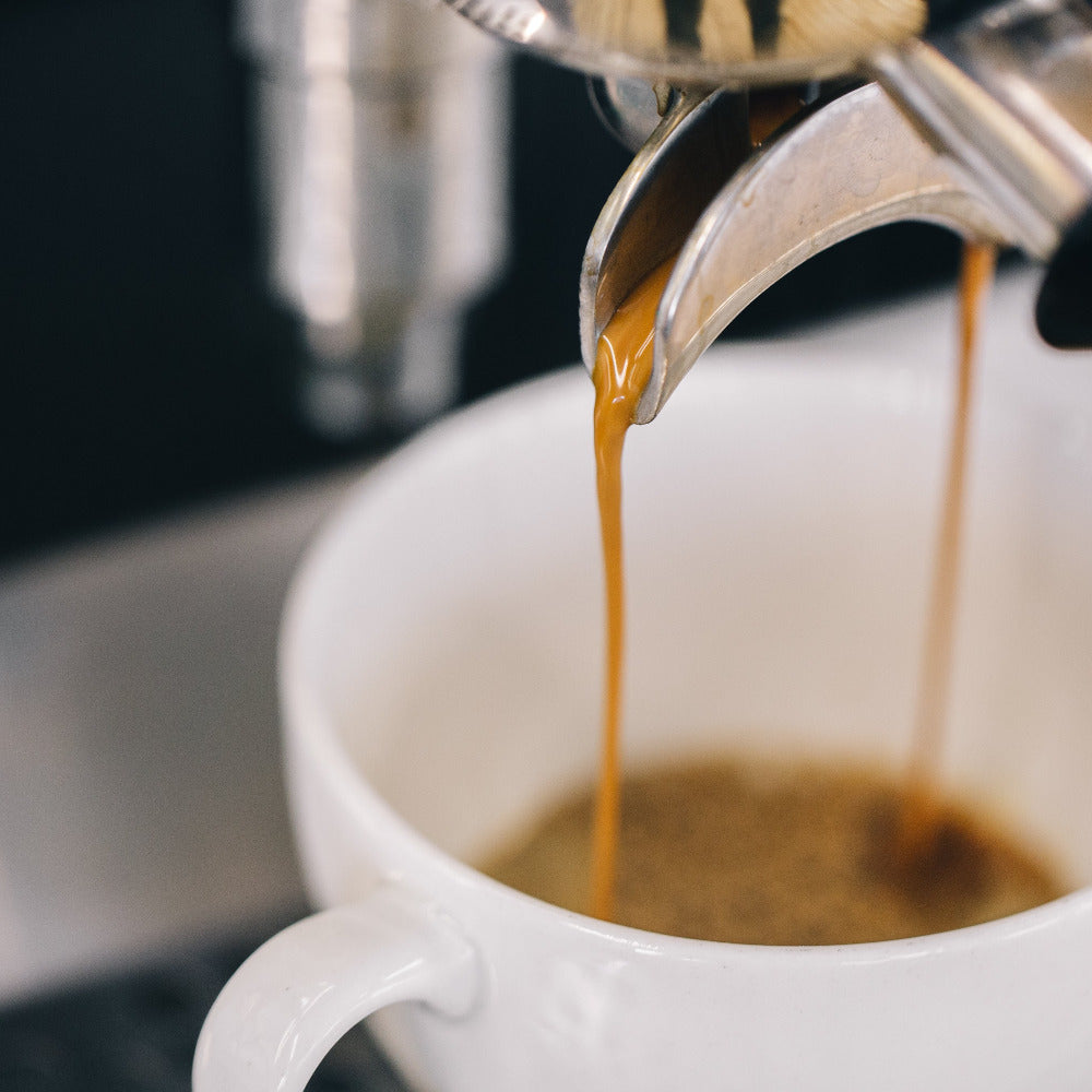 Frisch extrahierter Espresso fließt aus dem Siebträger in eine weiße Tasse.