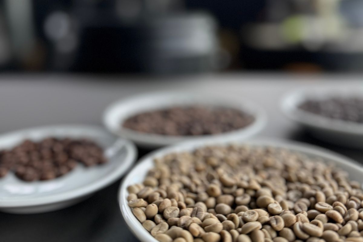 Grüne Arabica-Rohkaffeebohnen auf dem Packtisch in THE ROASTERY by Caffè Passione.
