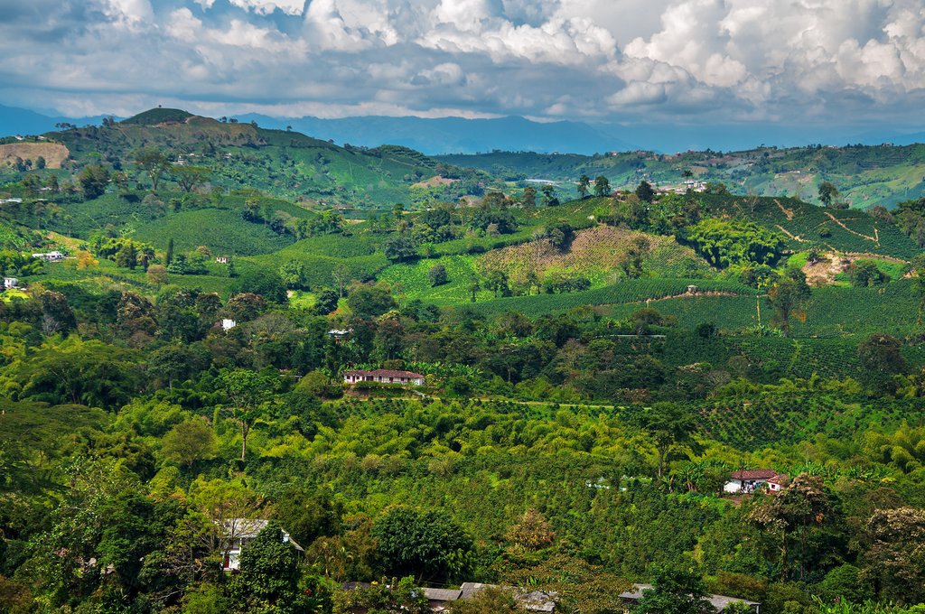 Landschaft von Kolumbien mit viel Grün und einigen Häusern zwischen den Bäumen